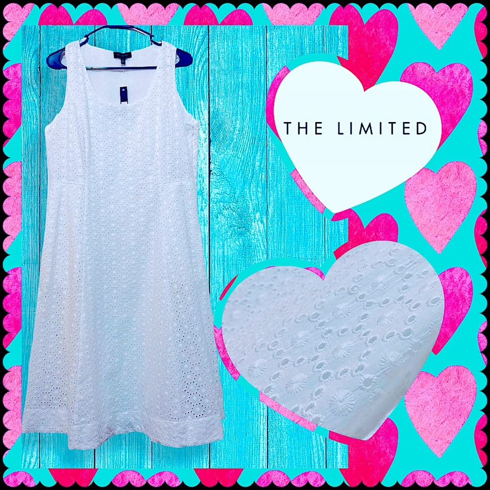 🏷BOGO🆓•THE LIMITED Dress / 10